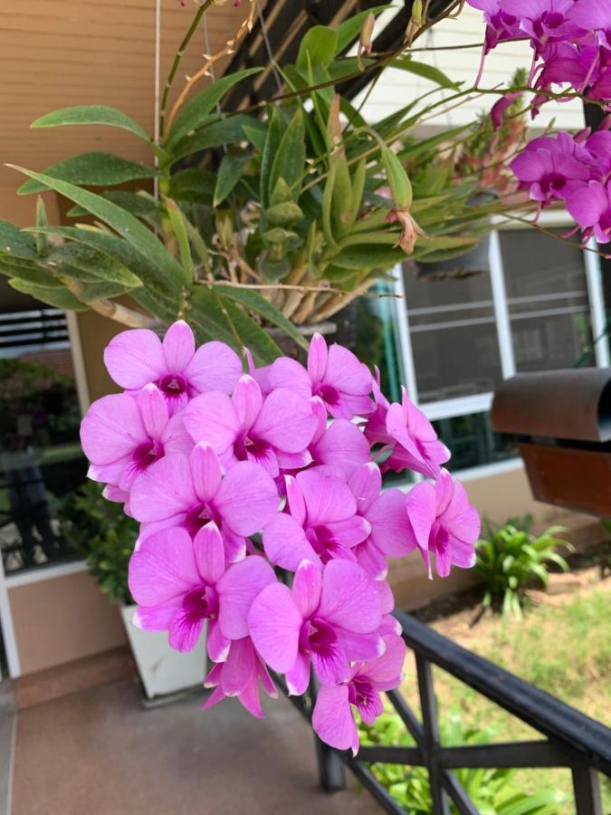 Hotel The Orchid House à Nong Kung Yai Extérieur photo